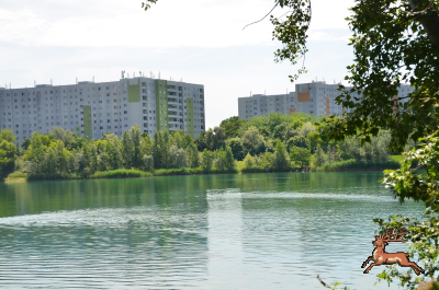 db_bilder/400/hi_teich--20250601_1037-1960.png