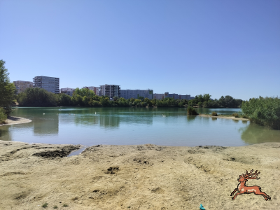 db_bilder/400/hi_teich--20260813_1023-0002.png