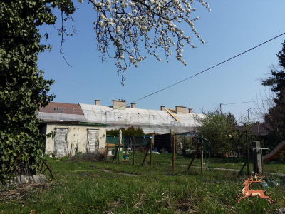 db_bilder/400/hi_tomschikgasse--20190401_112529.png
