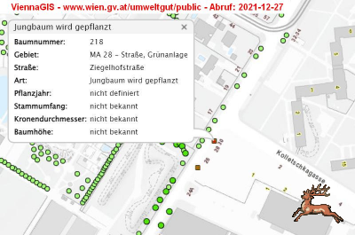 ../db_bilder/400/hi_ziegelhofstrasse_plan_baum-rk--20211227.png