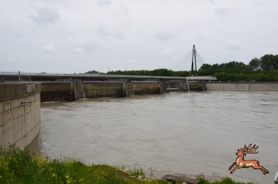 ../db_bilder/400/hochwasser--20130603-021.png