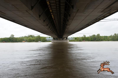 ../db_bilder/400/hochwasser--20130603-034.png