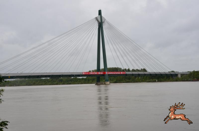 db_bilder/400/hochwasser--20130603-040.png