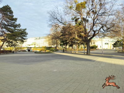 ../db_bilder/400/karlsplatz--20250114_1001-0002.png