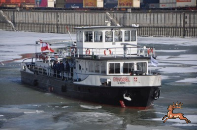 db_bilder/400/ms_eisvogel-hafen_wien--20120213.png