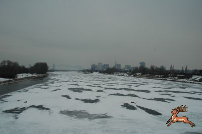 ../db_bilder/400/neue_donau--20120214-010.png