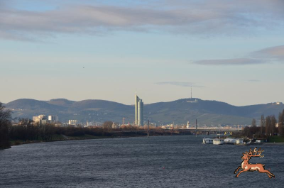 db_bilder/400/neue_donau--20201227-407769.png