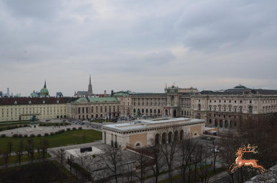 db_bilder/400/nhm--20160225-026.png