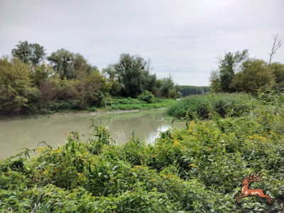 db_bilder/400/orth--20240822_1445-0008.png