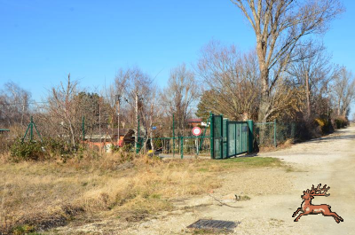 db_bilder/400/rundumadum--20220210-401011.png