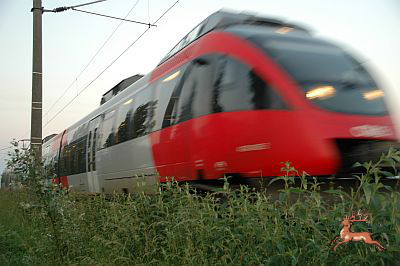 ../db_bilder/400/s-bahn-003-20100609.png