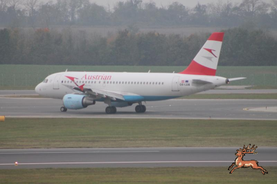 db_bilder/400/schwechat-20141026-036.png