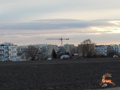 db_bilder/400/seestadt--20141223-002.png