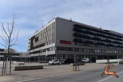 ../db_bilder/400/seestadt--20190317-500479.png