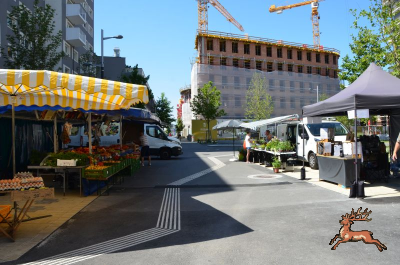 db_bilder/400/seestadt--20230707-400700.png