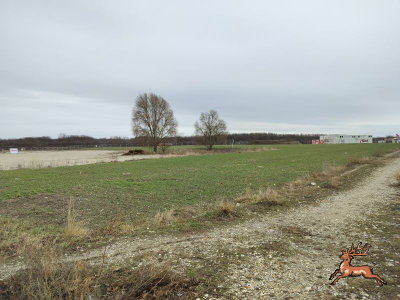 ../db_bilder/400/seestadt--20240126_131901.png