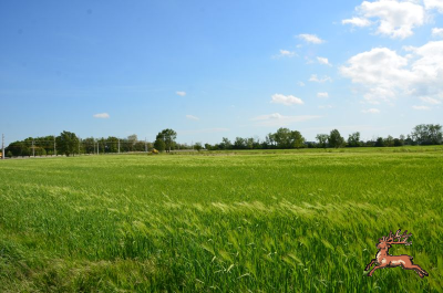 ../db_bilder/400/seestadt--20240501_090049.png
