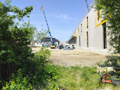 db_bilder/400/seestadt--20240527_111528.png