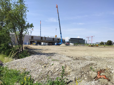 db_bilder/400/seestadt--20240527_111638.png