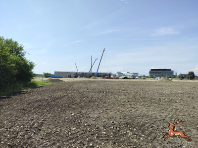 db_bilder/400/seestadt--20240527_112047.png