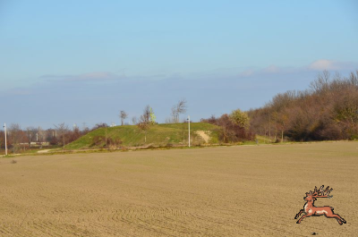 ../db_bilder/400/seestadt--20241205_1226-7503.png