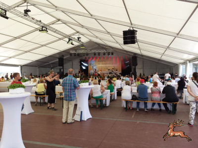 db_bilder/400/seestadt_fest--20150613-003.png