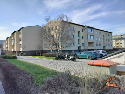 db_bilder/400/si_murraygasse--20260309_1527-0006.png