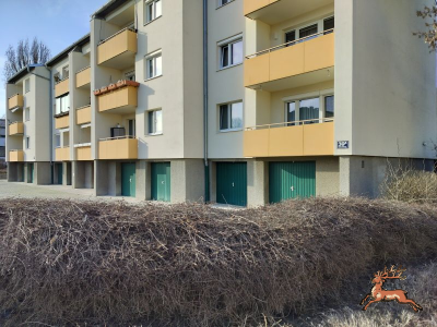 db_bilder/400/si_murraygasse--20260309_1528-0013.png