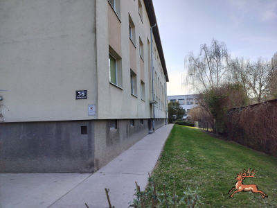 db_bilder/400/si_murraygasse--20260309_1529-0015.png