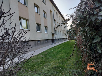 db_bilder/400/si_murraygasse--20260309_1529-0016.png
