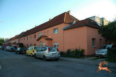 db_bilder/400/si_murraygasse-san-004-20090717.png