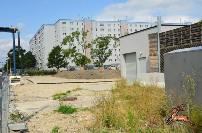 db_bilder/400/ststr_bau--20240626_090114.png