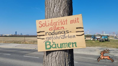 db_bilder/400/suessenbrunner_strasse_rodung--hr0001.png