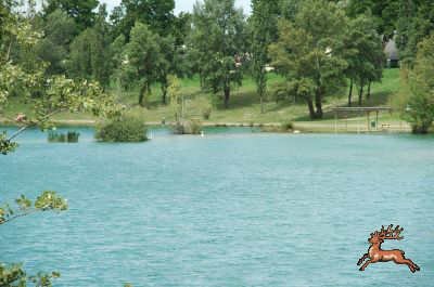 db_bilder/400/teich_hochwasser-007-20090706.png