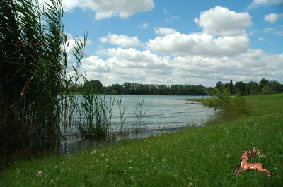 ../db_bilder/400/teich_hochwasser-010-20090706.png