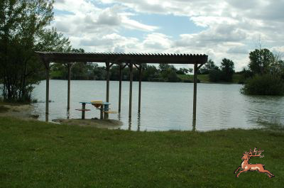 db_bilder/400/teich_hochwasser-018-20090706.png