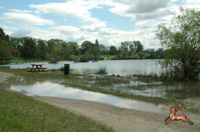 db_bilder/400/teich_hochwasser-033-20090706.png