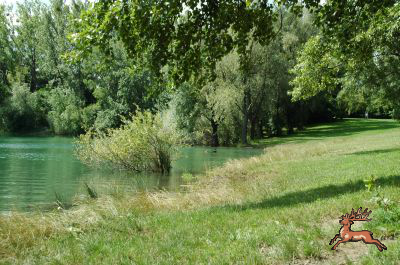 ../db_bilder/400/teich_hochwasser-070-20090706.png