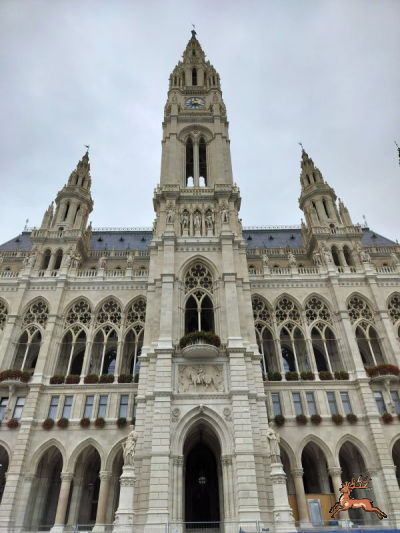 db_bilder/400/wien_rathaus--20230924_142007.png