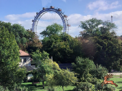 ../db_bilder/400/wien_riesenrad--20250929_1036-0001a.png