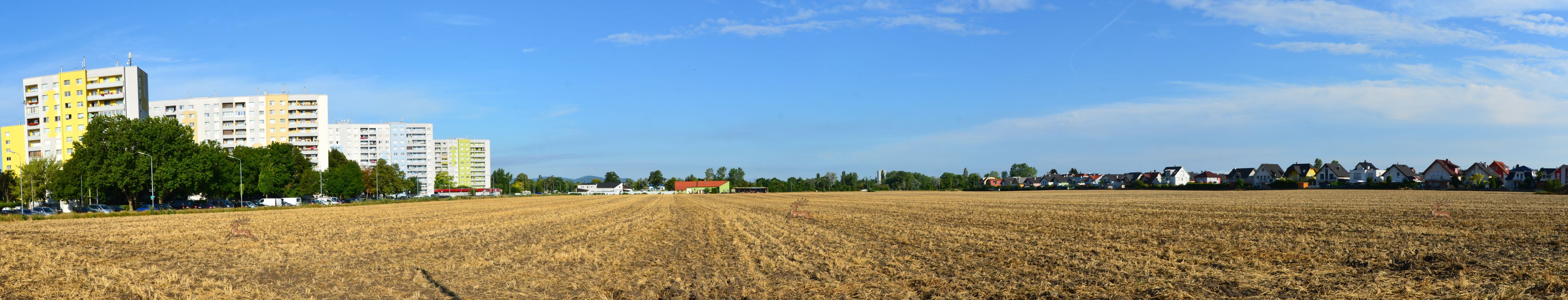 Panorama Berresgasse Feld