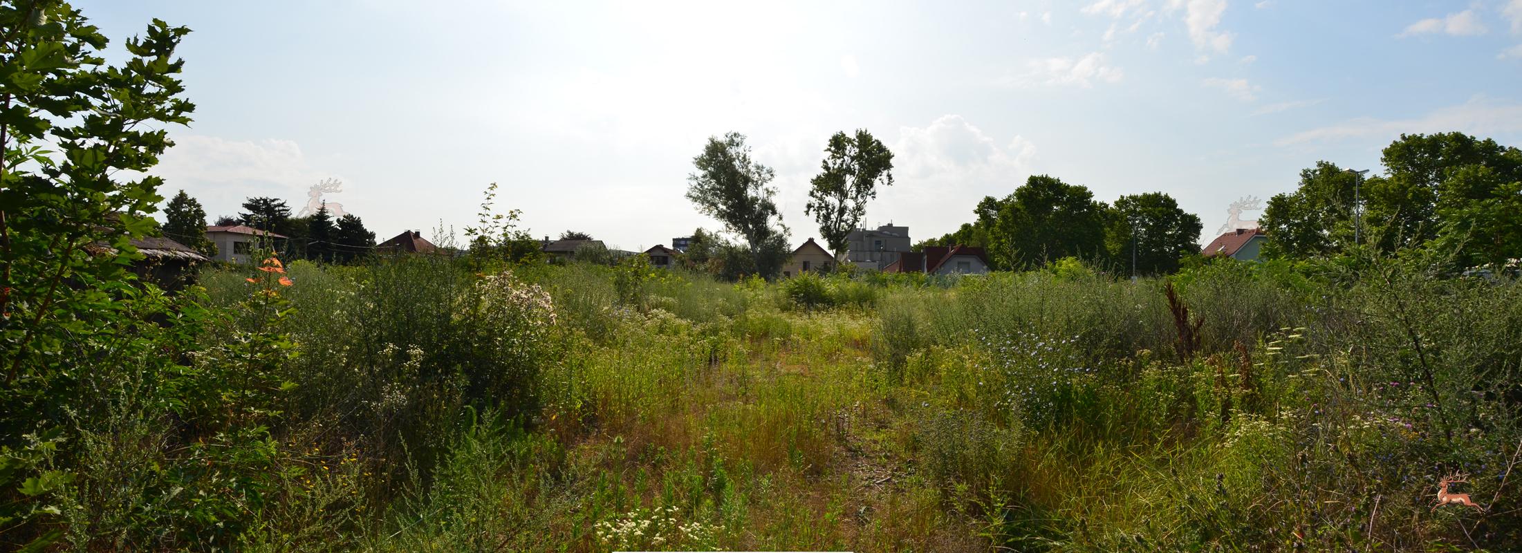 Panorama Erzherzog-Karl-Straße