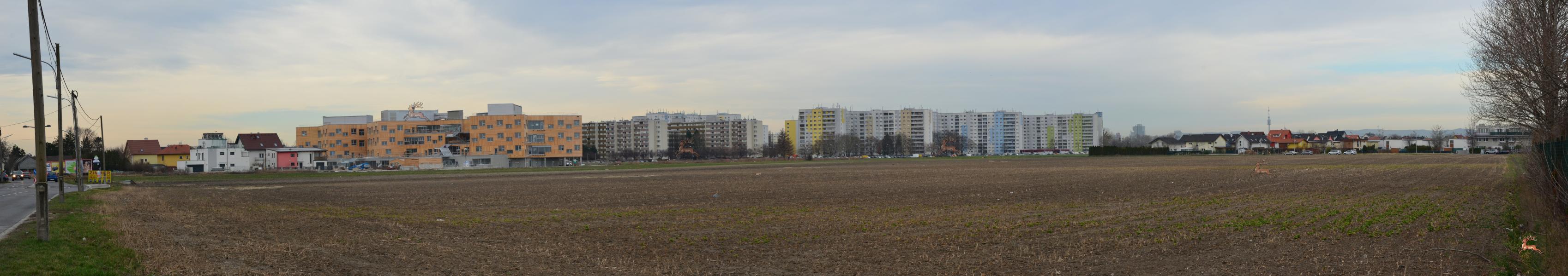 Panorama Berresgasse Feld