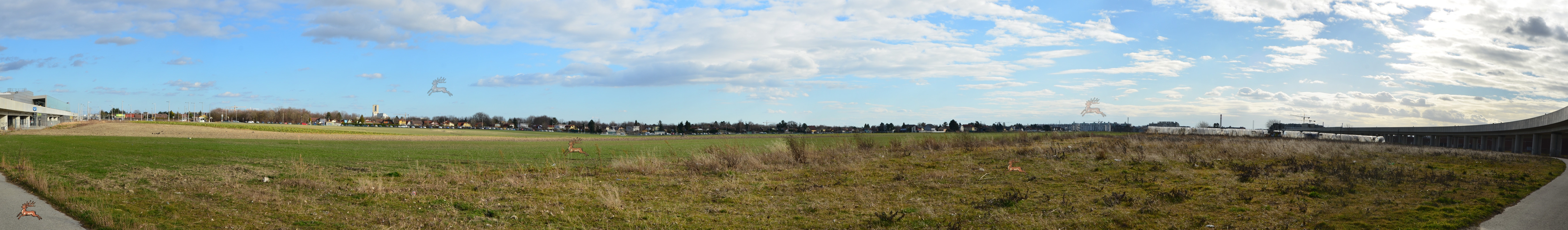 Panorama Hausfeld