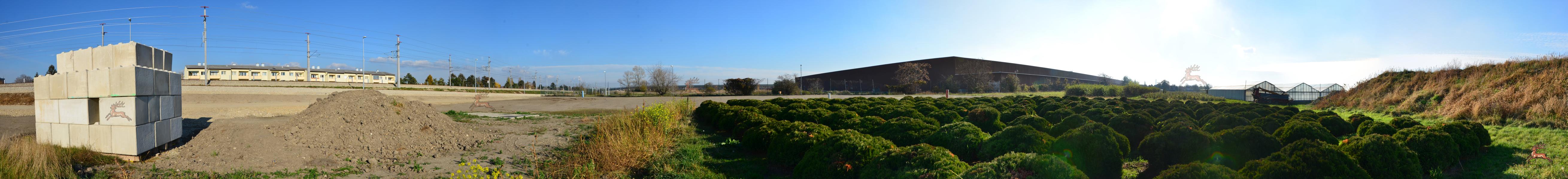 Panorama Forschungsprojekt Unteres Hausfeld