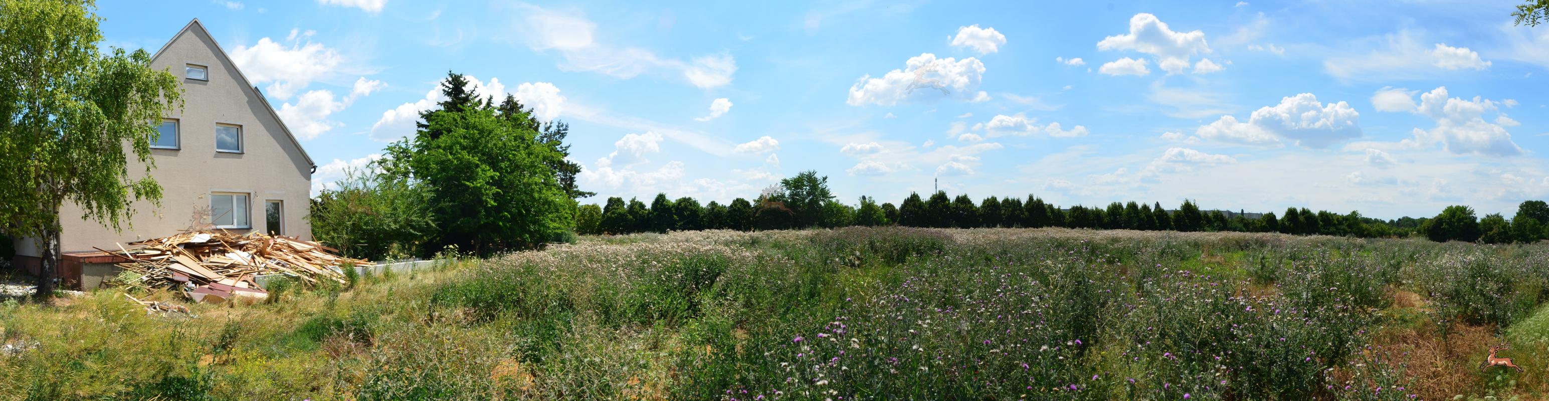 Panorama Süßenbrunner Straße 56